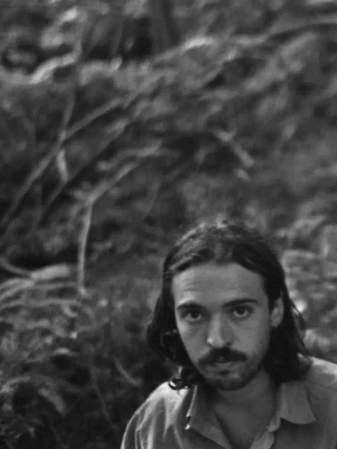 Vasco Ribeiro