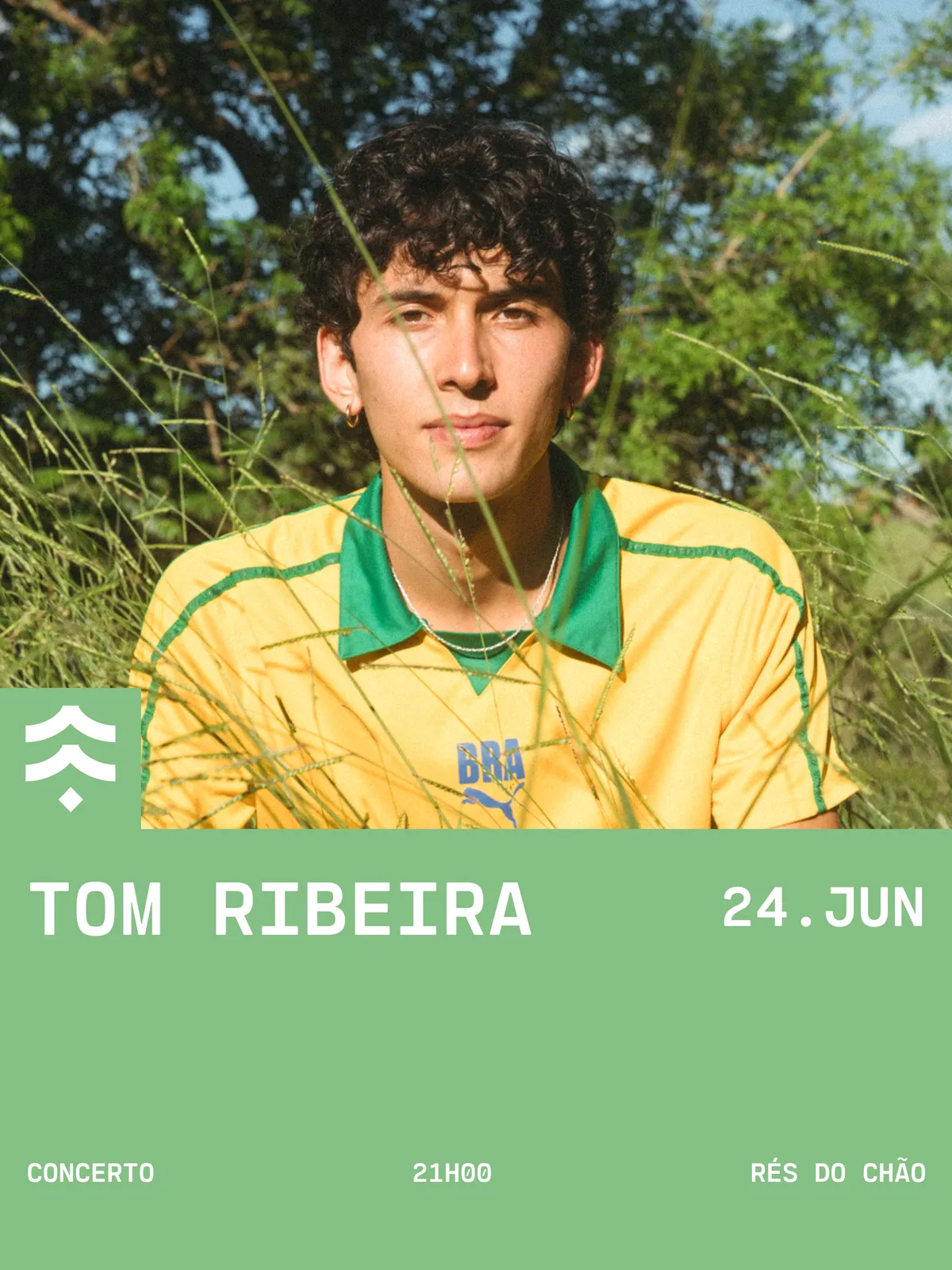 Tom Ribeira